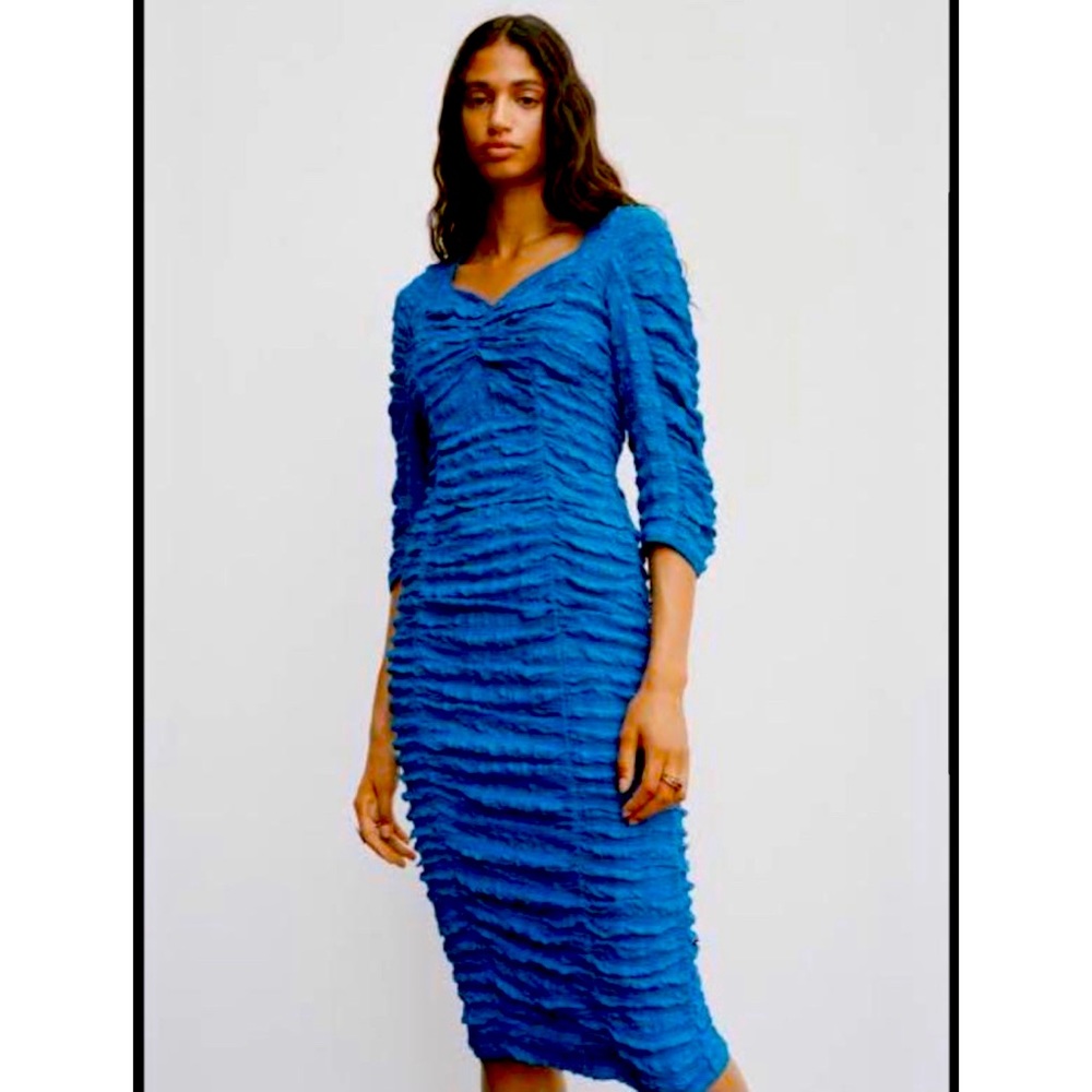 Zara the Anne dress in size M